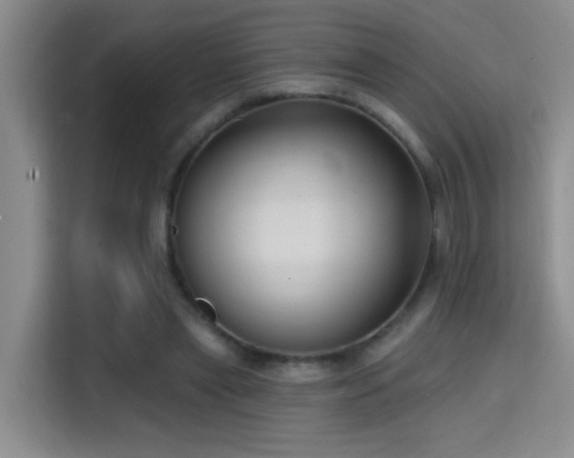 X0000114720445200910211350