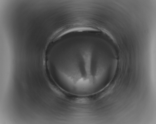 X0000114720446200910211350