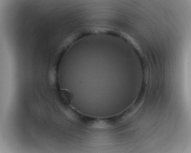 X0000114720451200910211350