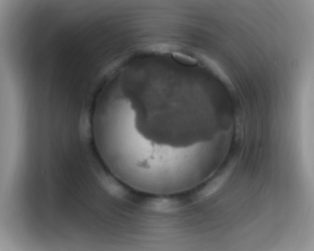 X0000114720453200910211350