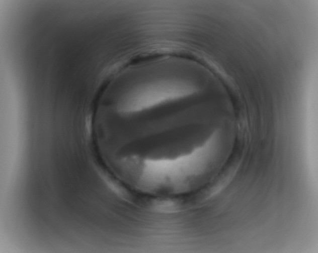 X0000114720454200910211350