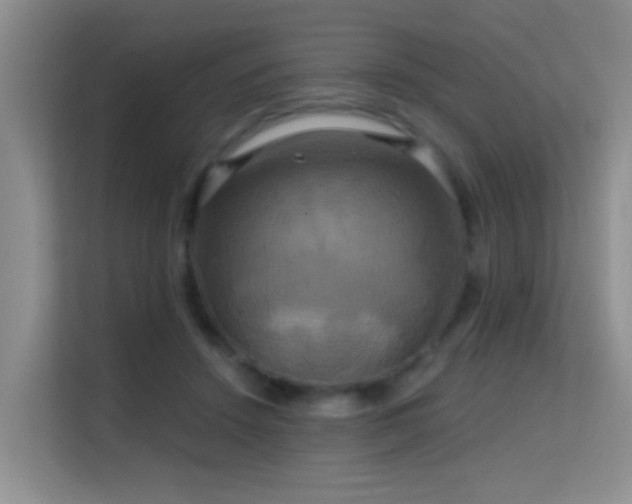 X0000114720456200910211350