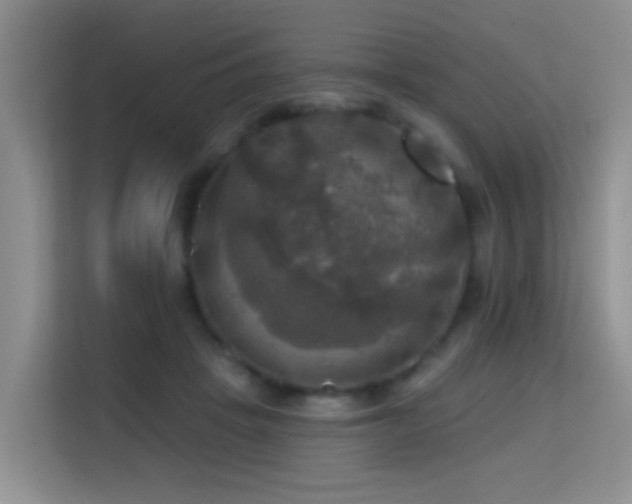 X0000114720457200910211350