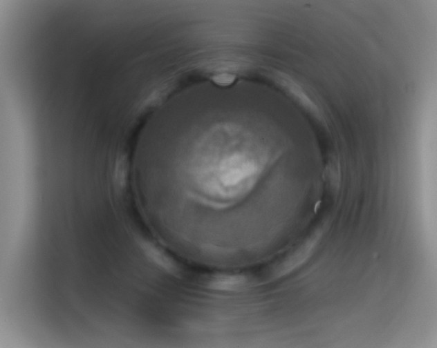 X0000114720458200910211350