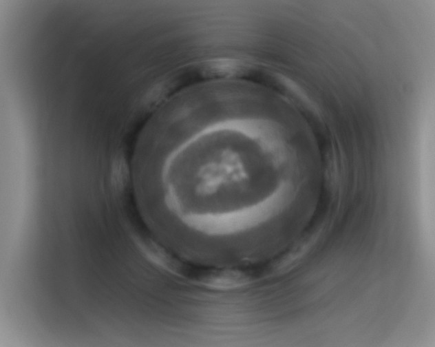 X0000114720459200910211350