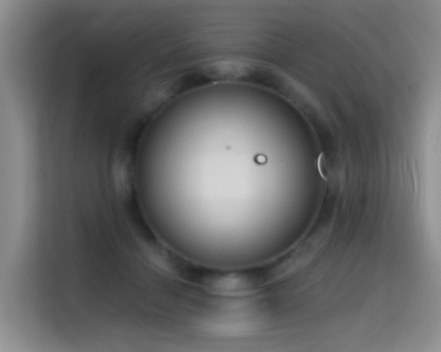 X0000114720460200910211350