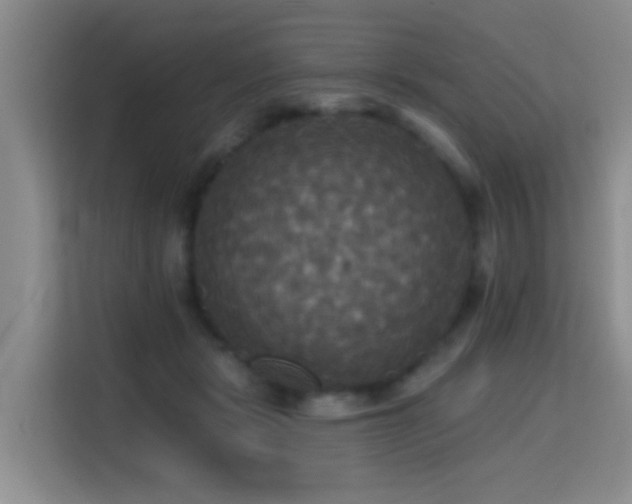 X0000114720461200910211350