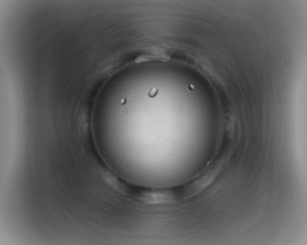 X0000114720466200910211350