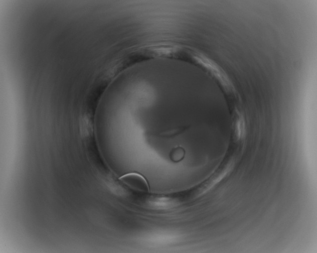 X0000114720467200910211350