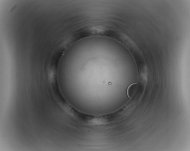 X0000114720468200910211350