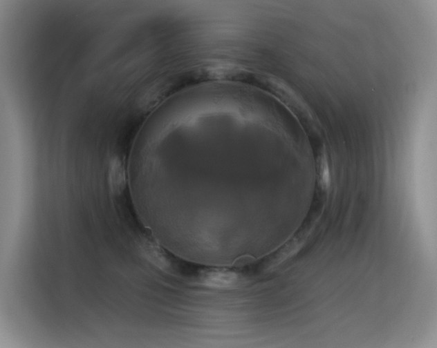 X0000114720471200910211351