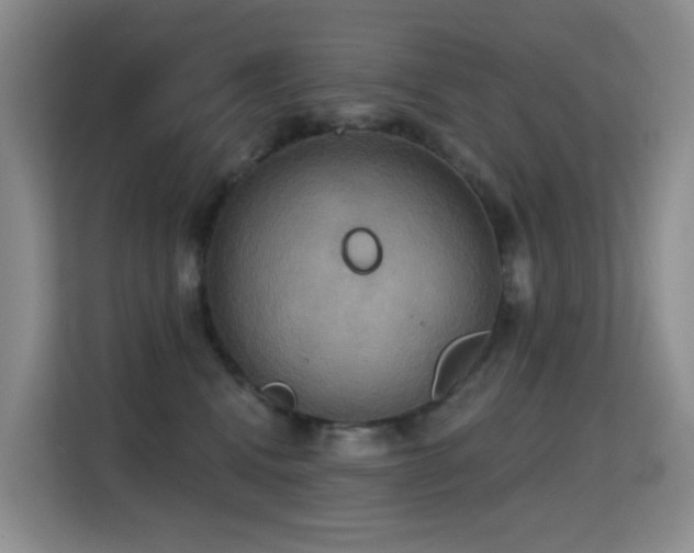 X0000114720472200910211351