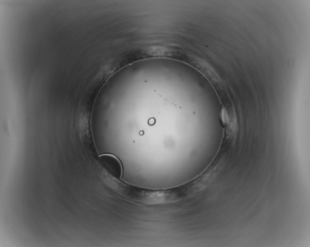 X0000114720473200910211351