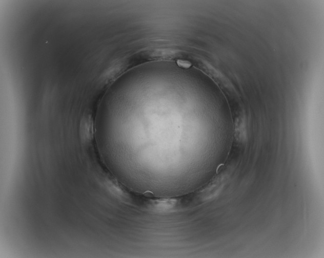 X0000114720474200910211351