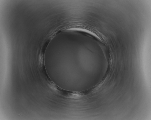 X0000114720475200910211351