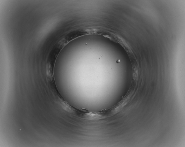 X0000114720477200910211351