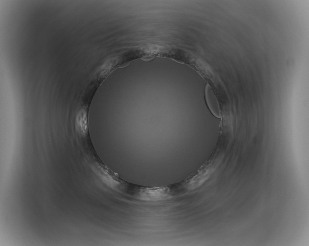 X0000114720479200910211351