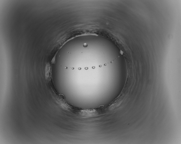 X0000114720480200910211351