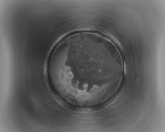 X0000114720483200910211350