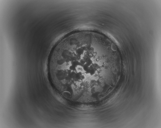 X0000114720487200910211350