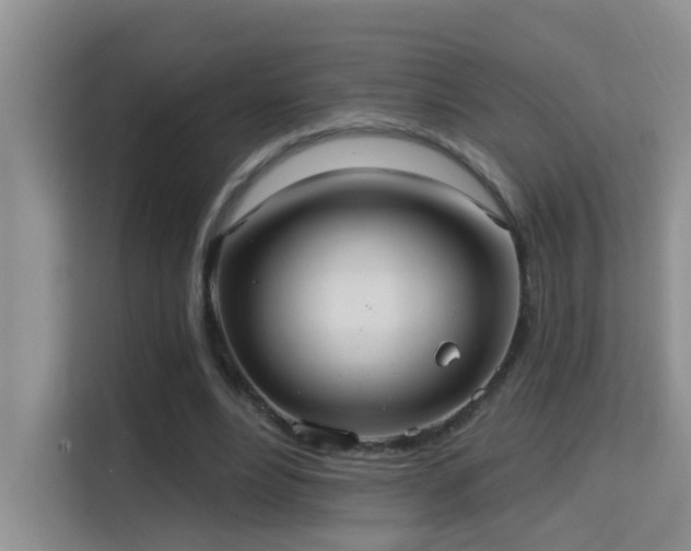 X0000114720488200910211350