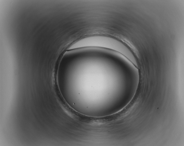 X0000114720489200910211350