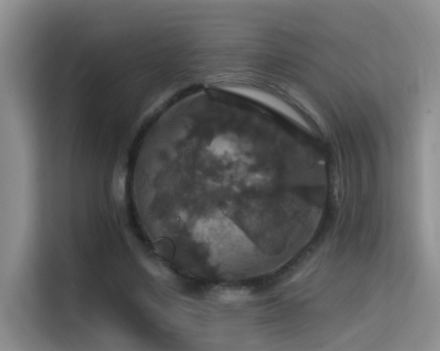 X0000114720491200910211350