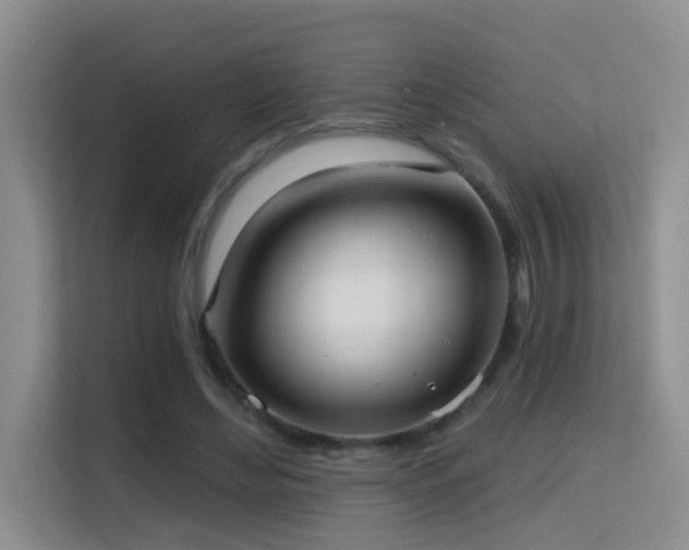 X0000114720492200910211350