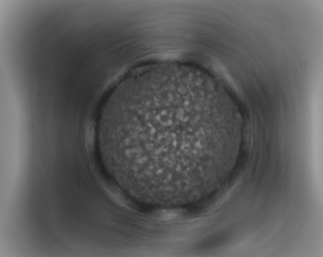 X0000114720495200910211350