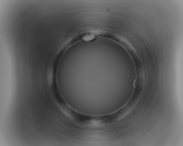 X0000114720496200910211350