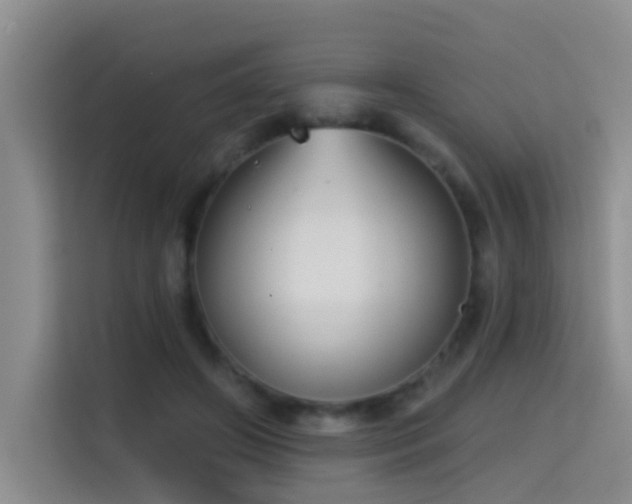 X0000114720498200910211350