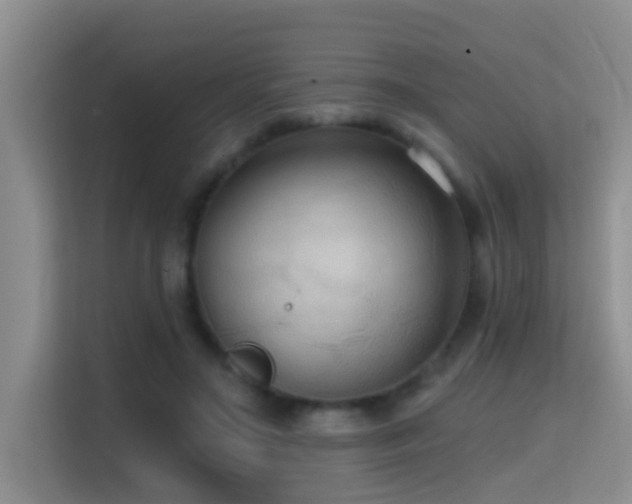 X0000114720499200910211350