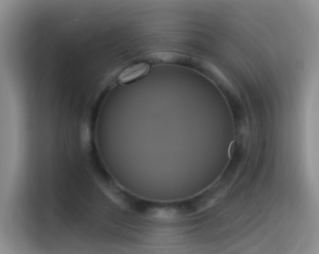 X0000114720500200910211350