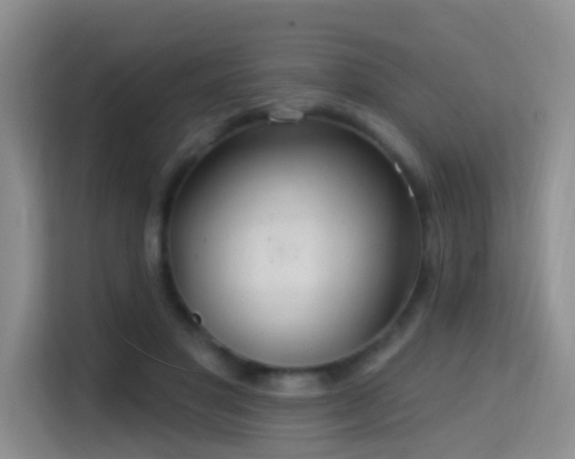 X0000114720501200910211350