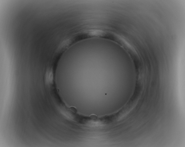 X0000114720502200910211350