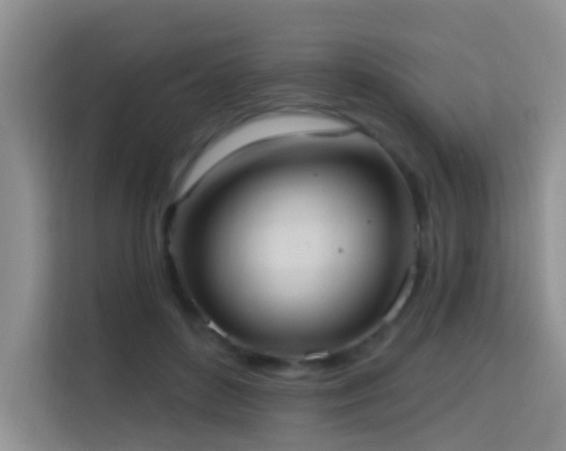 X0000114720504200910211350