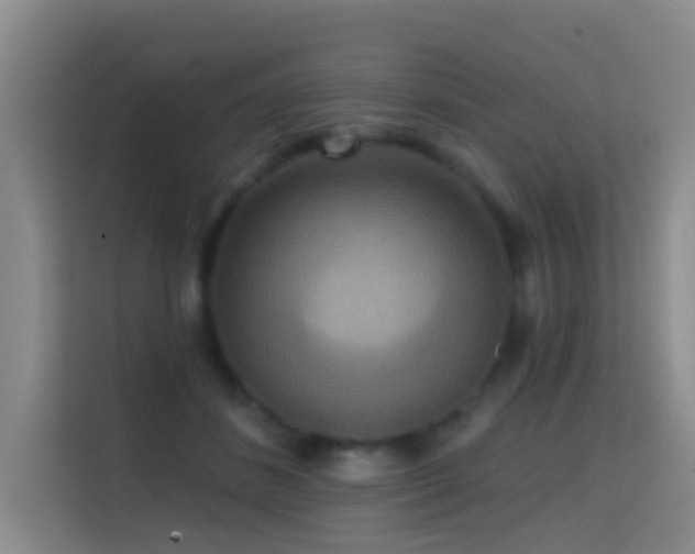 X0000114720508200910211350