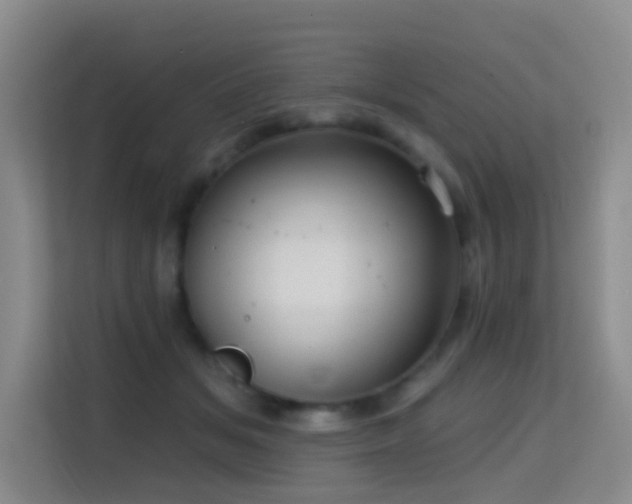 X0000114720509200910211350