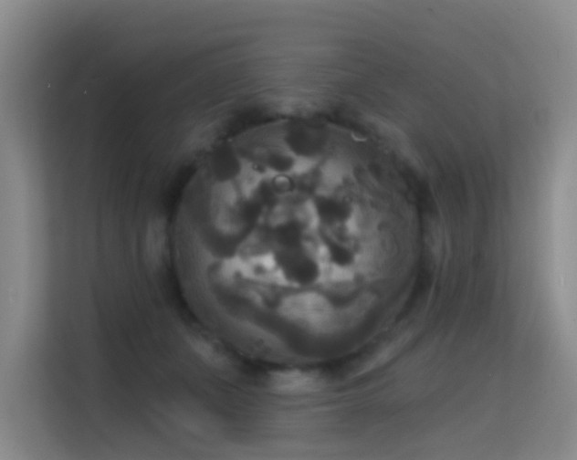 X0000114720511200910211350