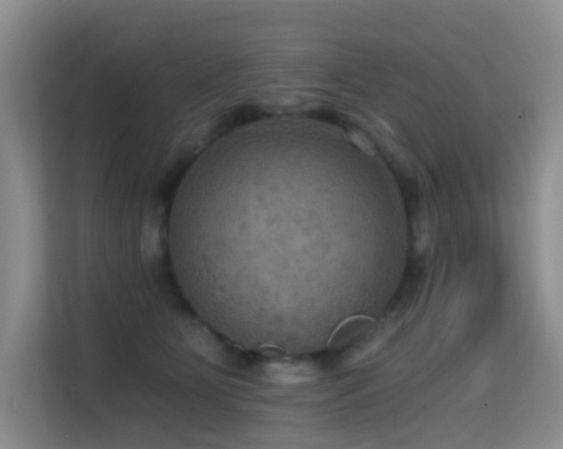 X0000114720515200910211350