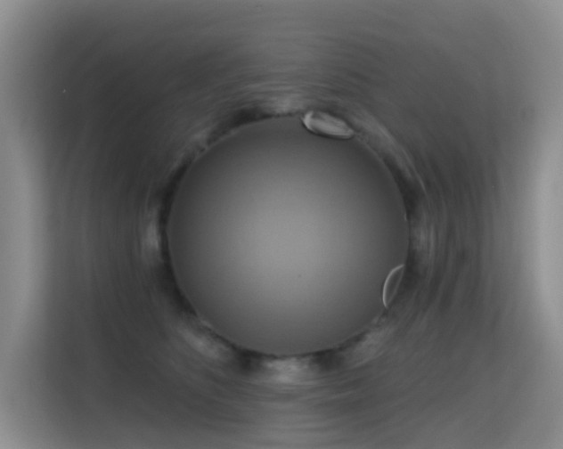 X0000114720516200910211350