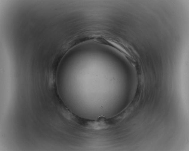 X0000114720517200910211350