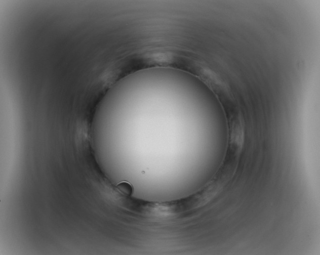 X0000114720518200910211350