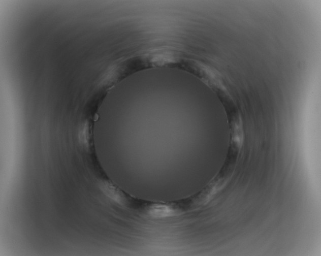 X0000114720519200910211350