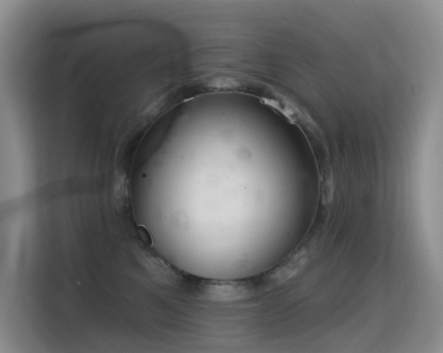 X0000114720521200910211350