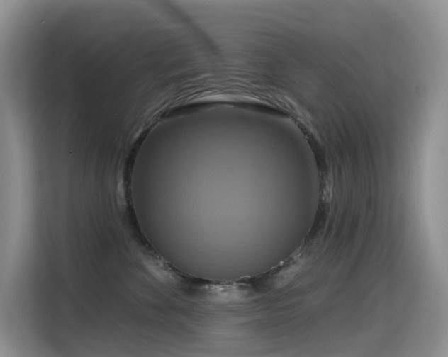 X0000114720524200910211349