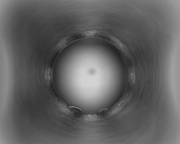 X0000114720525200910211349