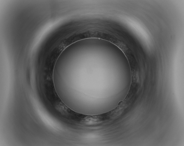 X0000114720526200910211349