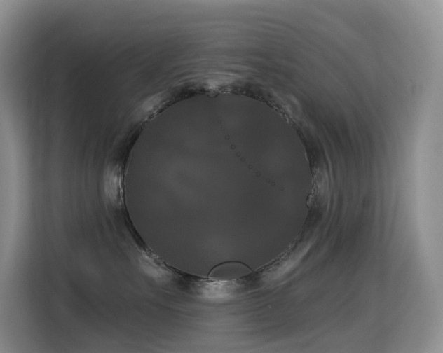 X0000114720527200910211349