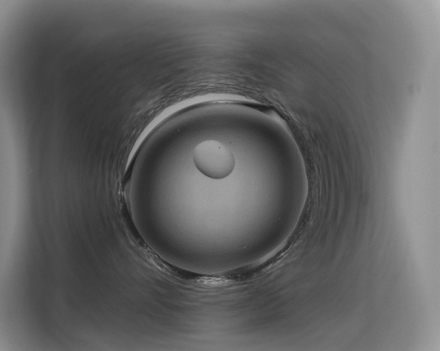 X0000114720528200910211349